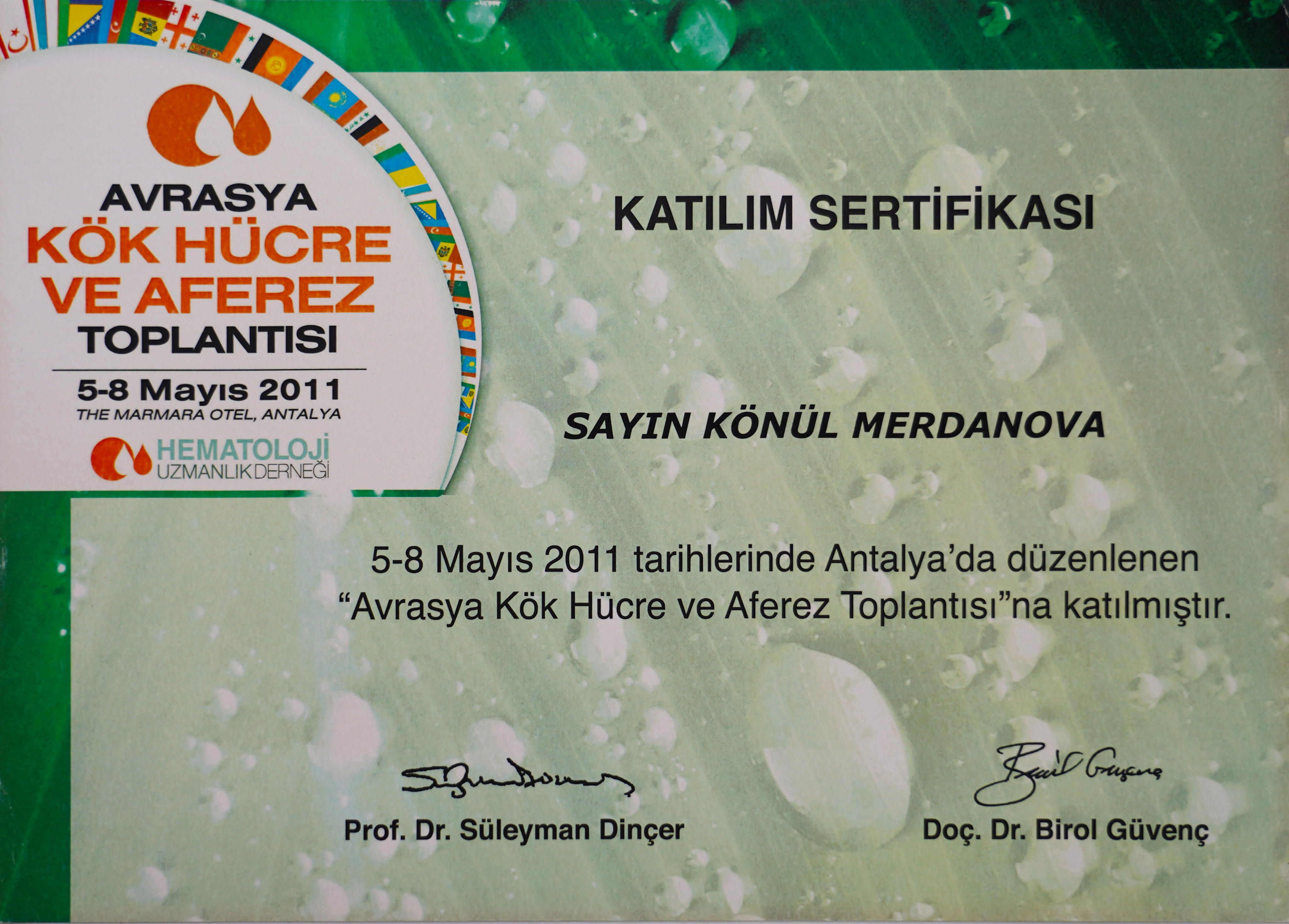 certificate7